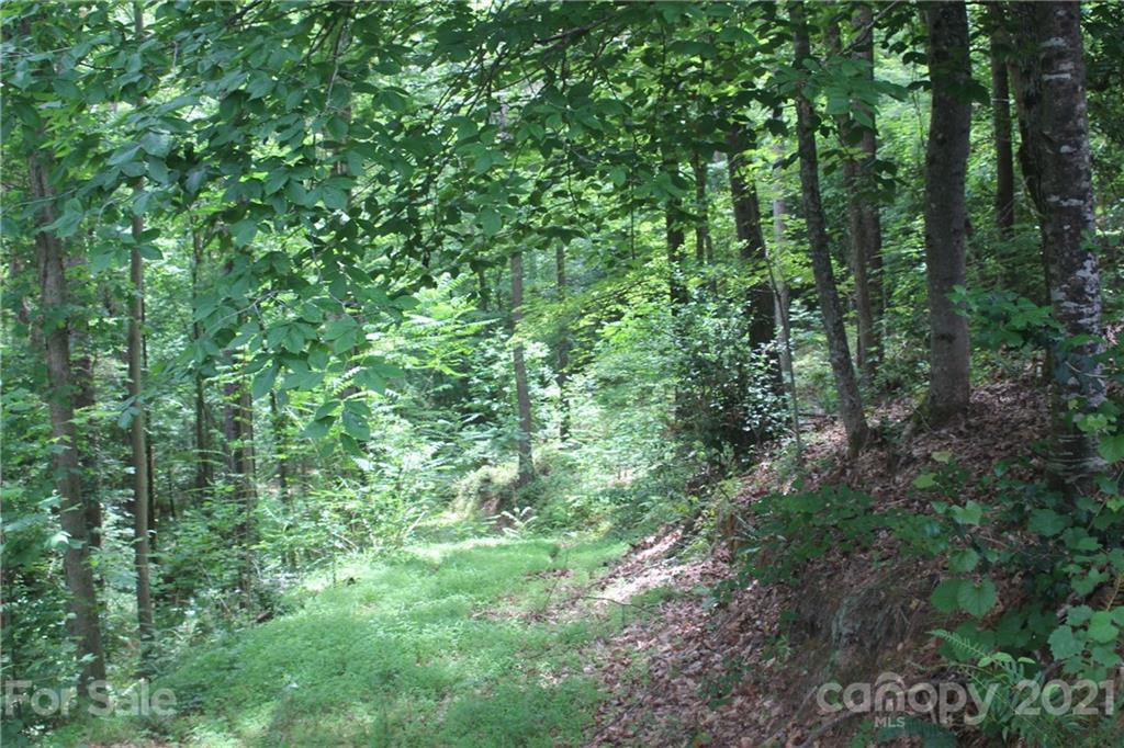 Island Pointe at Lake Vistas - Land