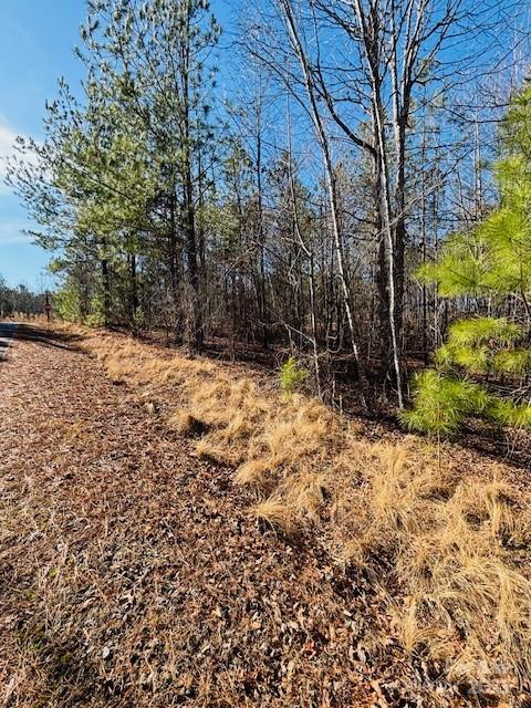 Clearwater Creek - Land