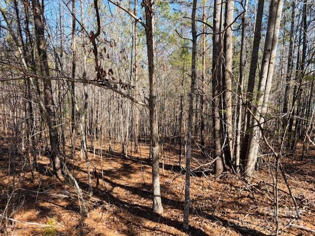 Clearwater Creek - Land