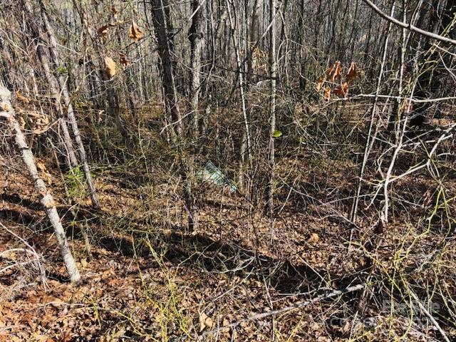 Clearwater Creek - Land