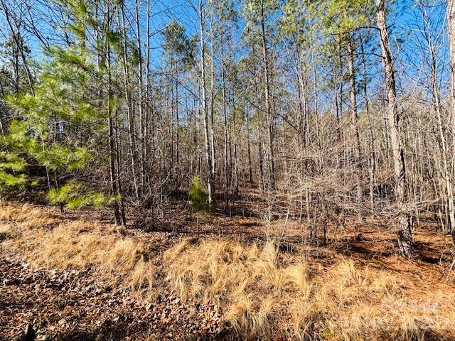 Clearwater Creek - Land