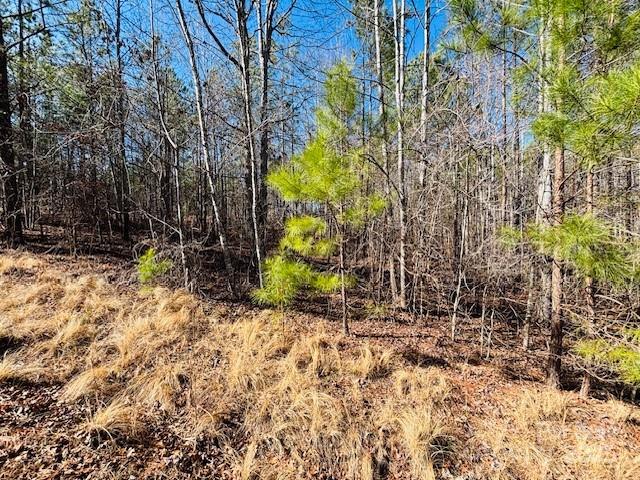 Clearwater Creek - Land