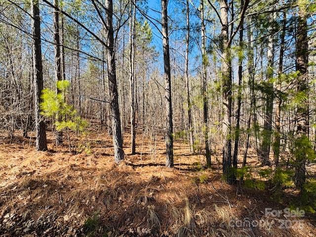 Clearwater Creek - Land