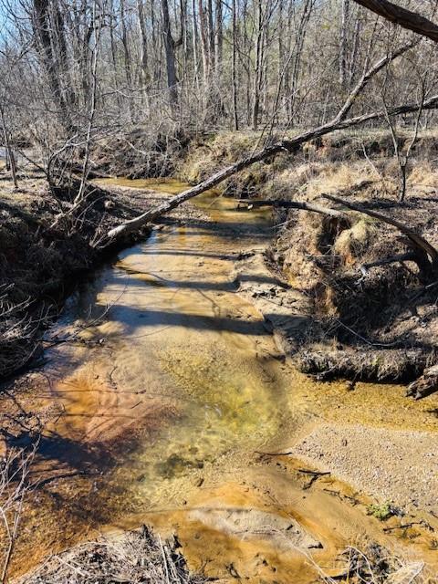 Clearwater Creek - Land