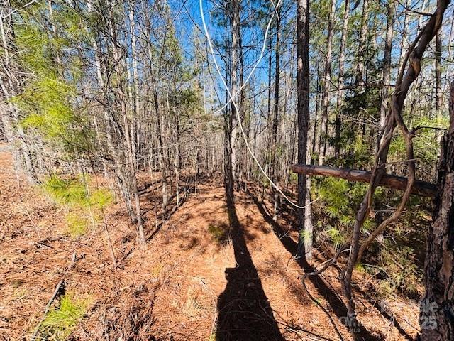 Clearwater Creek - Land