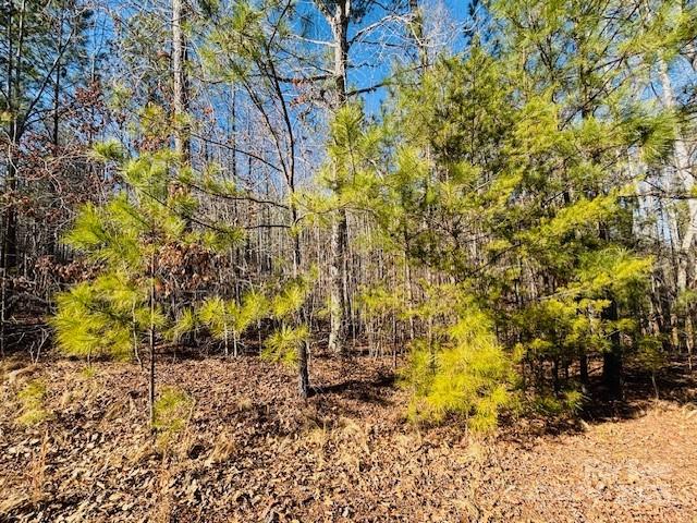 0 Creekside Circle 110