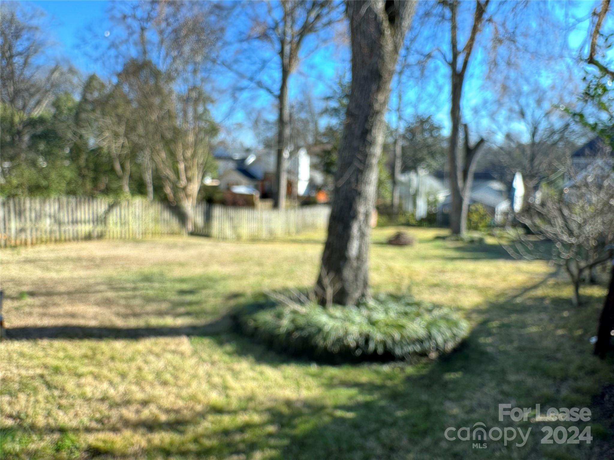 Dilworth - Residential Lease