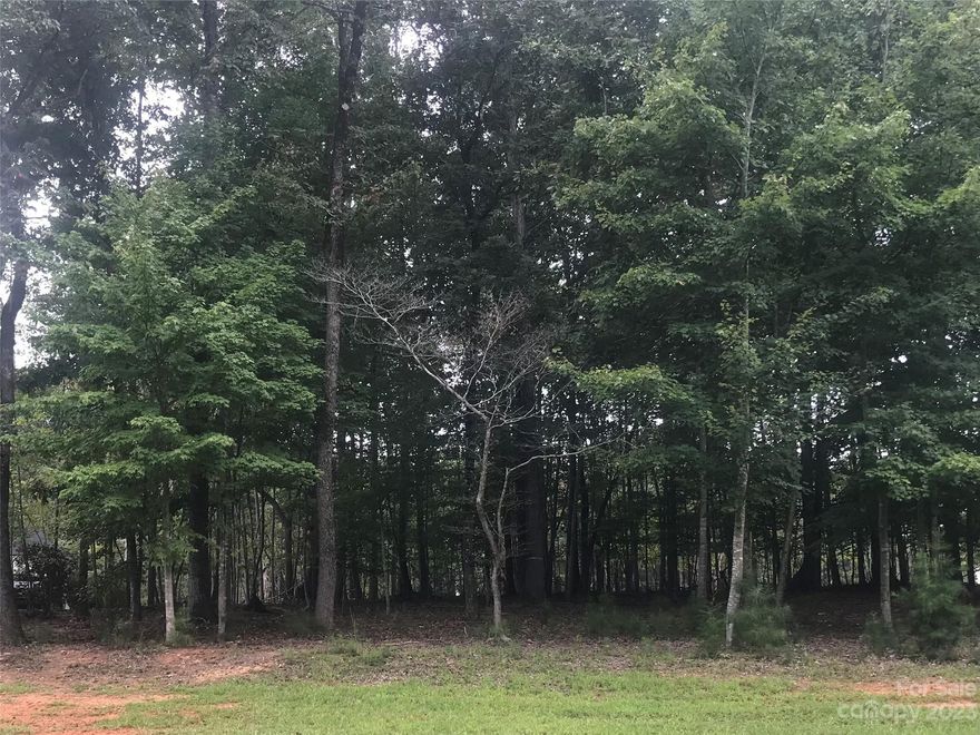 Beautiful wooded home site in The Woodlands at Cheval. Five beautiful neighborhood Parks with picnic tables, park benches and gathering areas. Wild Flower Pond Park offers a beautiful pond and areas for family activities. Nestled in the 423-acre scenic Cheval community are the large, luxurious homes in The Woodlands at Cheval.