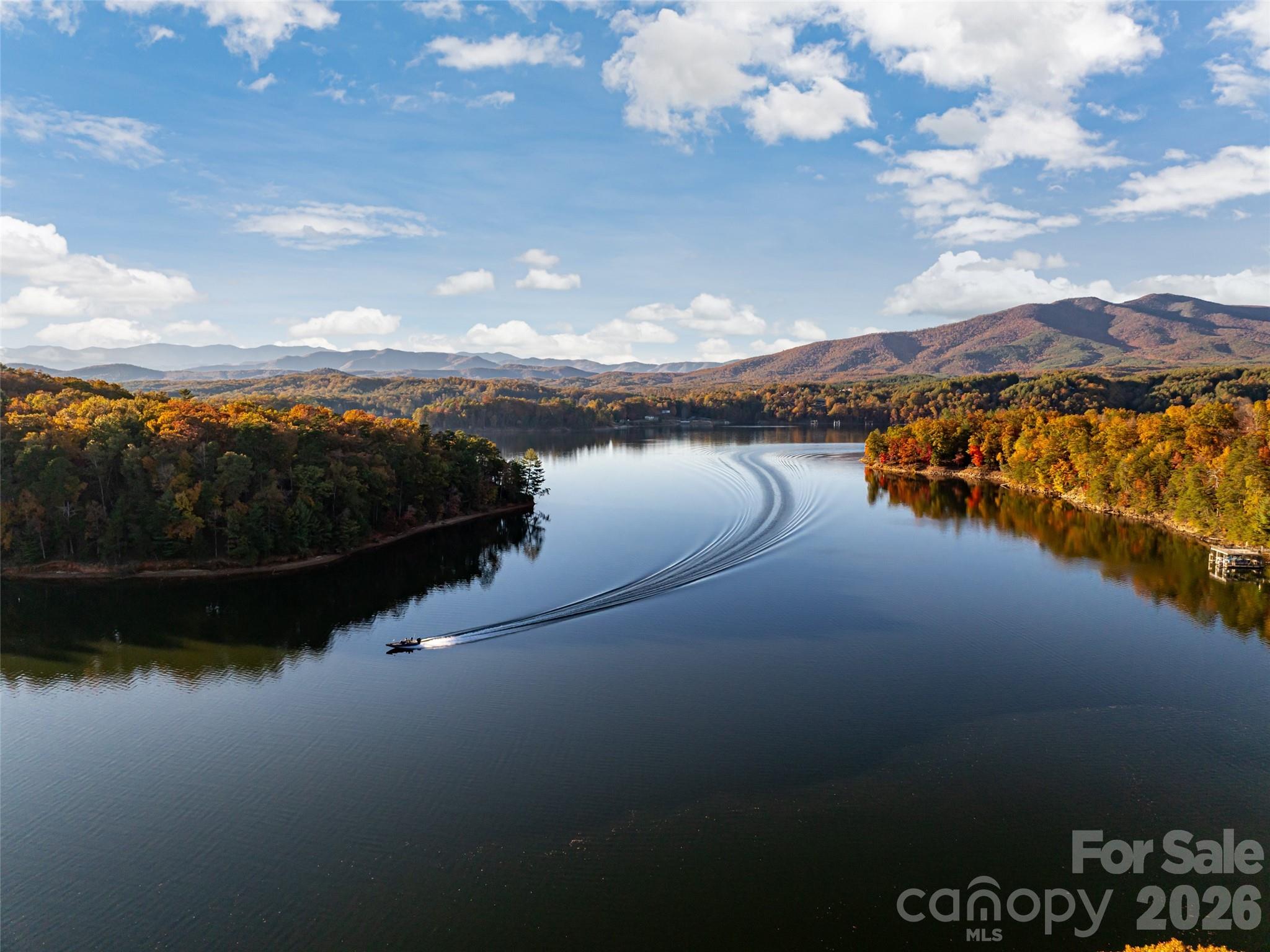 Forest Lake - Residential