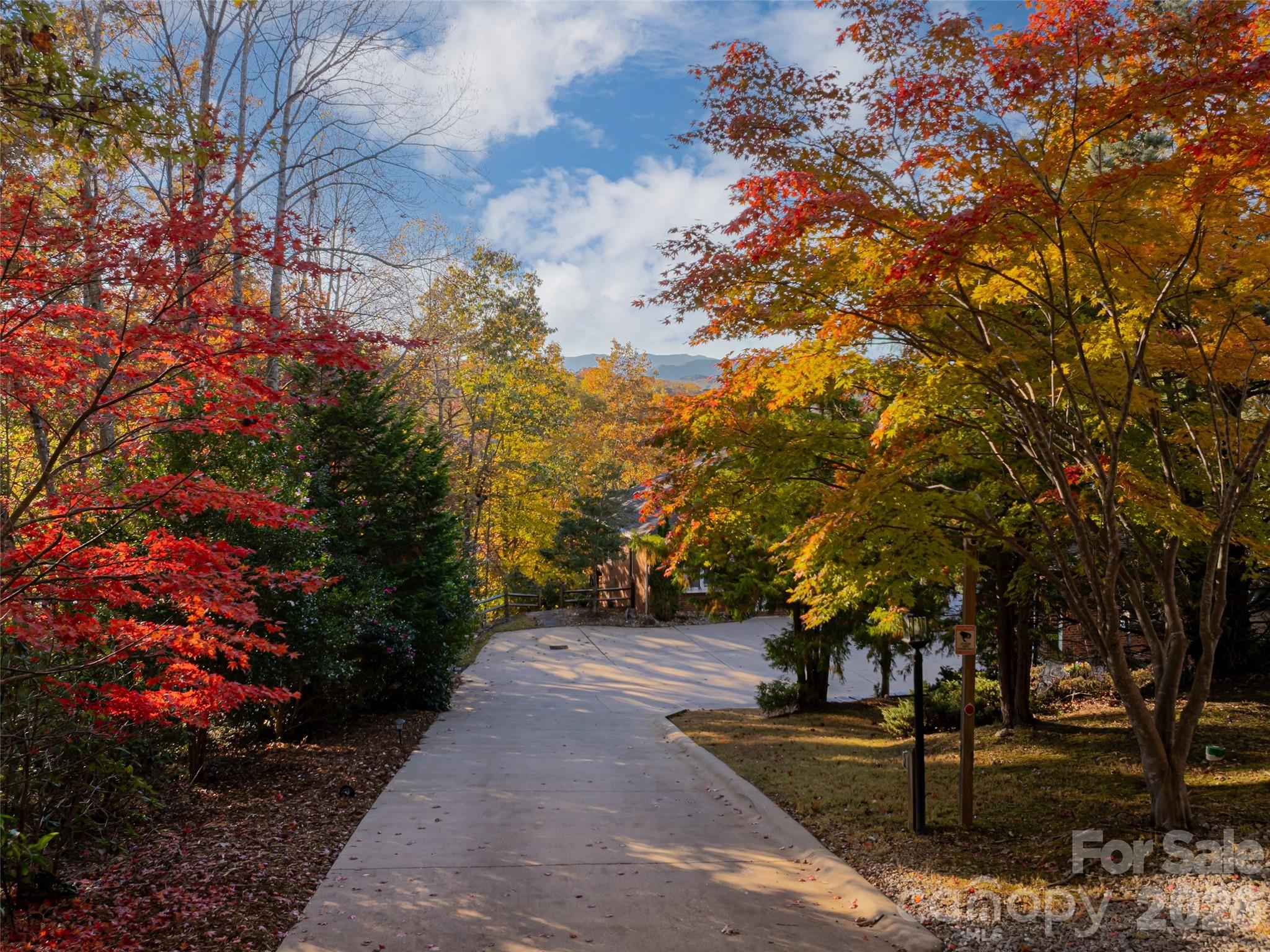 Forest Lake - Residential