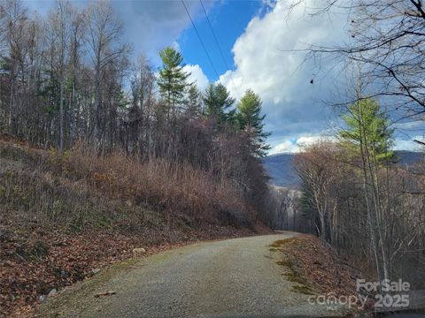 125 Lasso Lane 304 Waynesville NC 28785