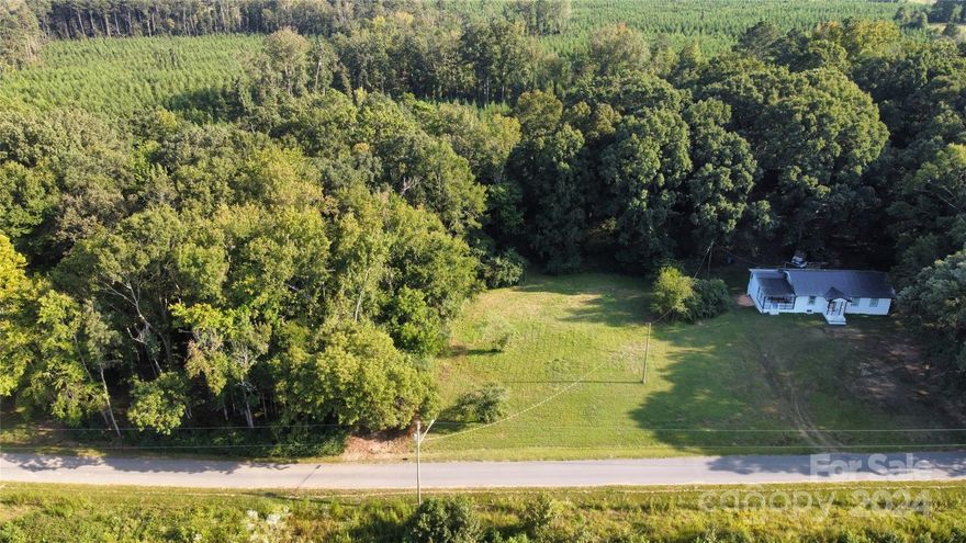 Spacious nearly half-acre lot in Peachland, ideal for builders seeking their next project or anyone looking to build a custom home. Conveniently located just 0.4 miles from Highway 74 and within 6 miles of local grocery stores, this lot offers both accessibility and a quiet setting for your dream home.