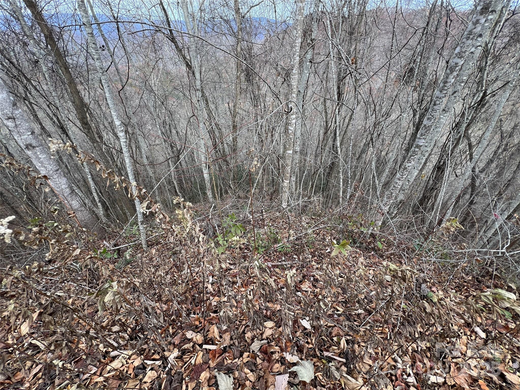 Lot 7 Deer Ridge Road