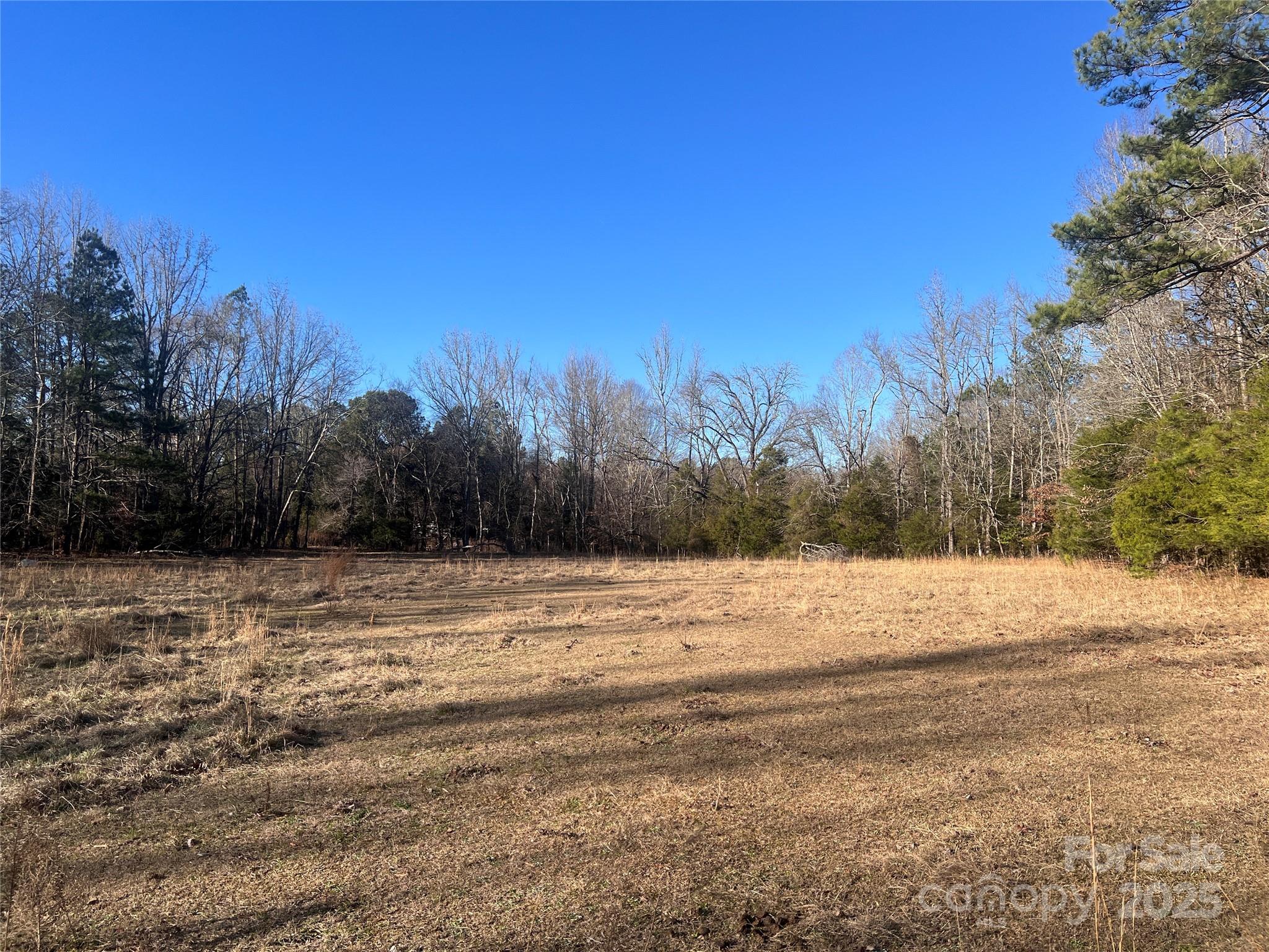 259 Sam Wilson Road