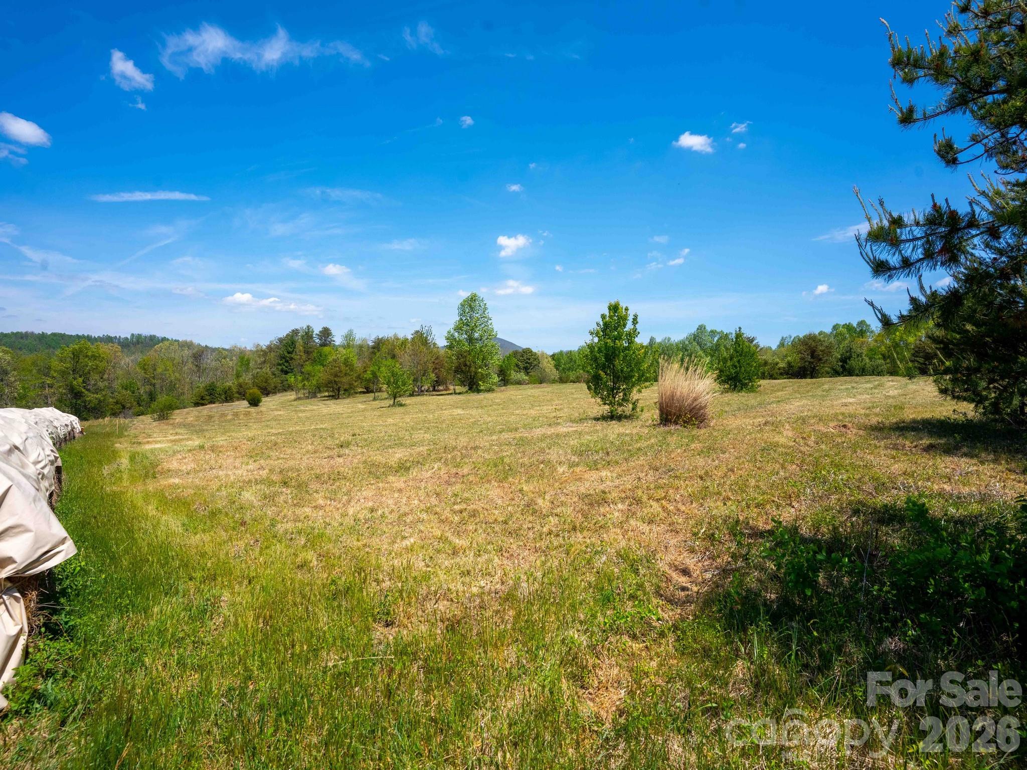 3646 Summer Road