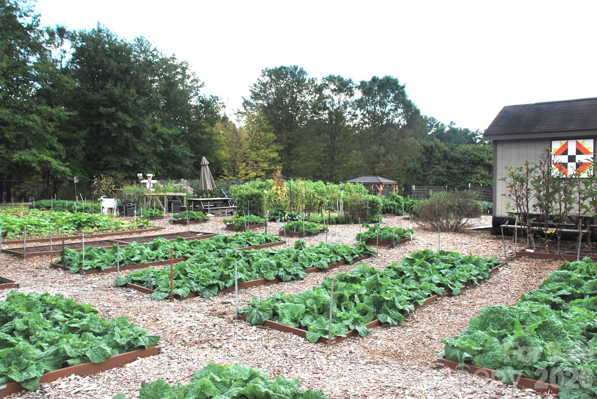 Cummings Cove - Land