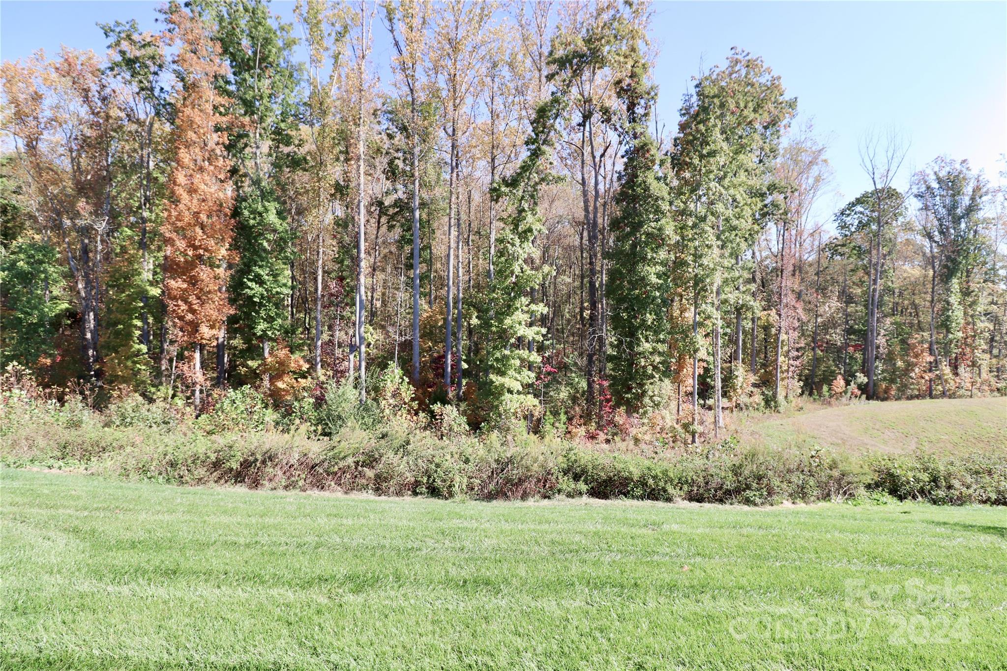 Meadows at Coddle Creek - Residential