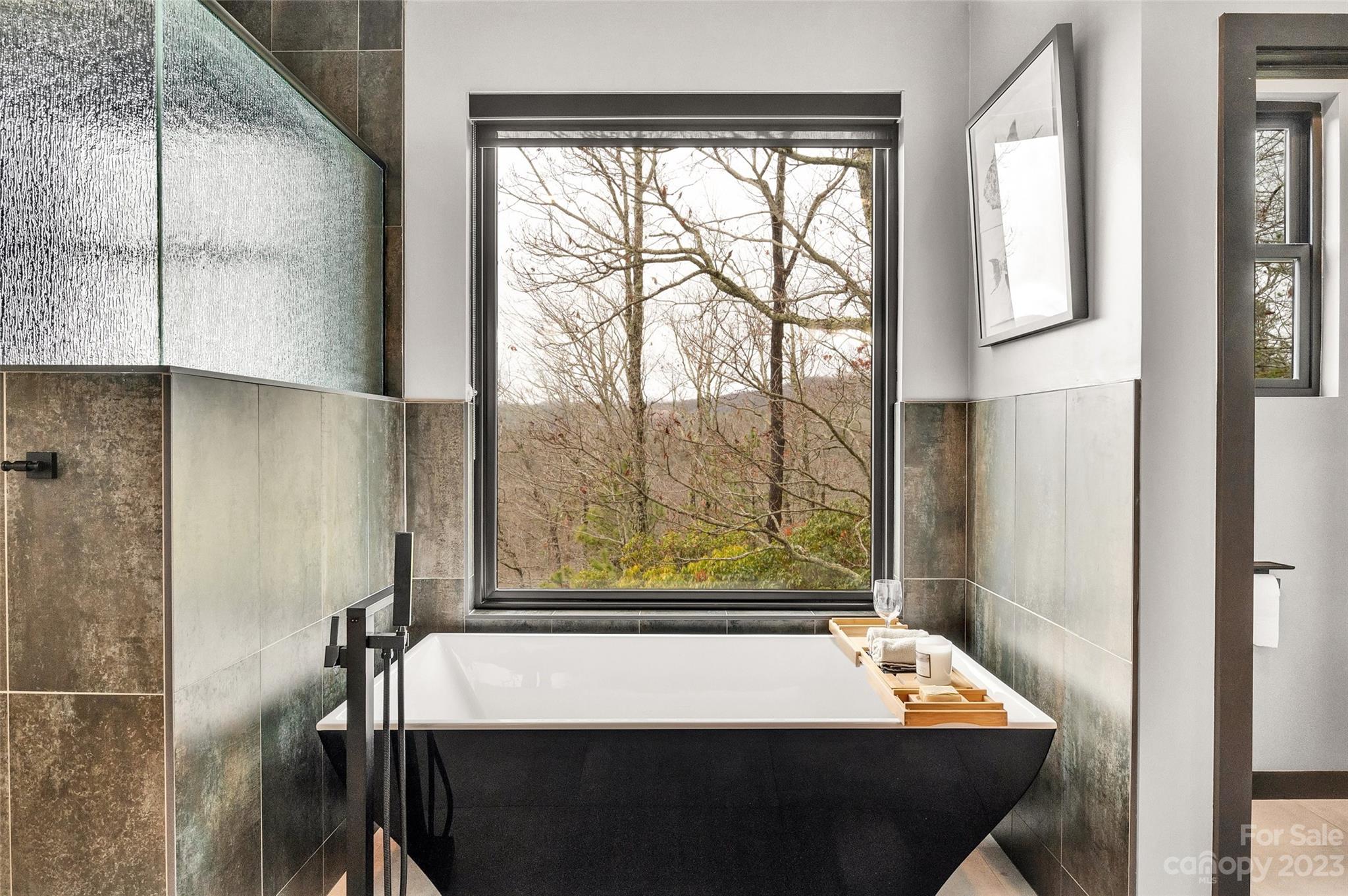 Homestead at Mills River - Residential