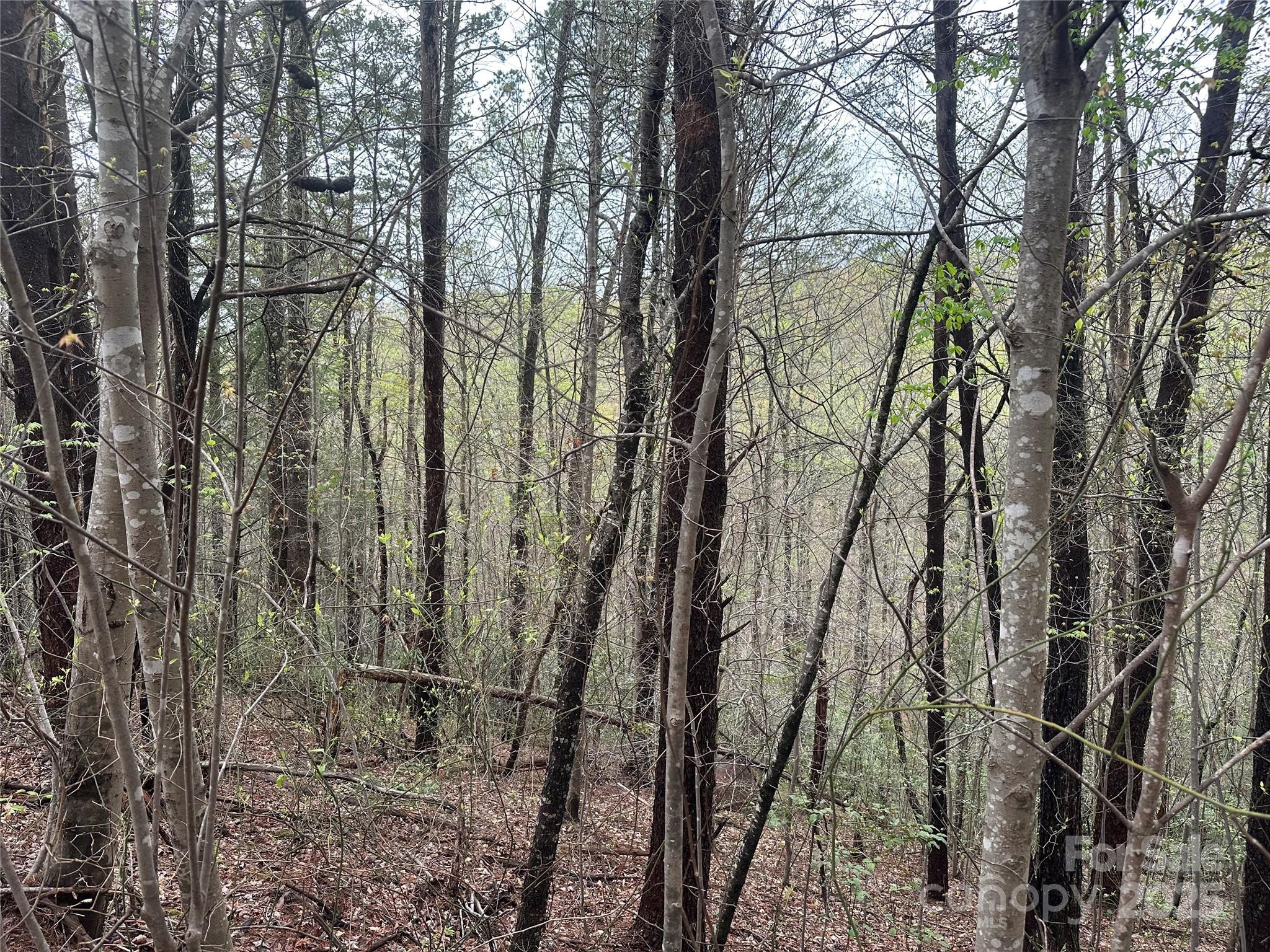 V/L Country Acres Drive