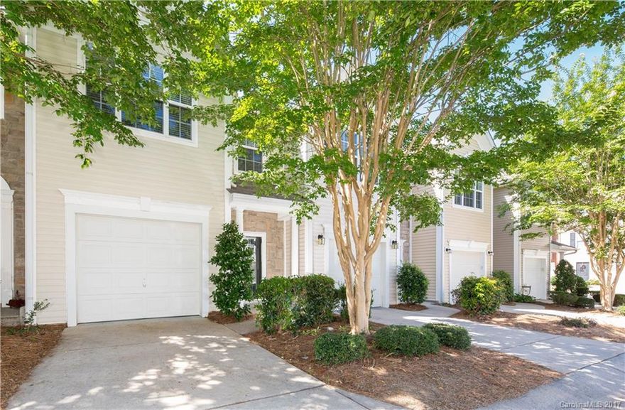 This one wont last long! Beautiful 3 bedroom 2.5 bath townhome in the quiet Waterstone neighborhood has lots of space, new paint and carpets, stainless steel appliances, granite countertops and wood flooring in the kitchen and a garage. It is centrally located to all the shopping and dining Fort Mill has to offer plus Fort Mill Schools!