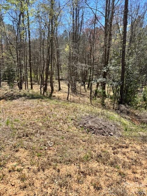 1581 Scenic Lane 259