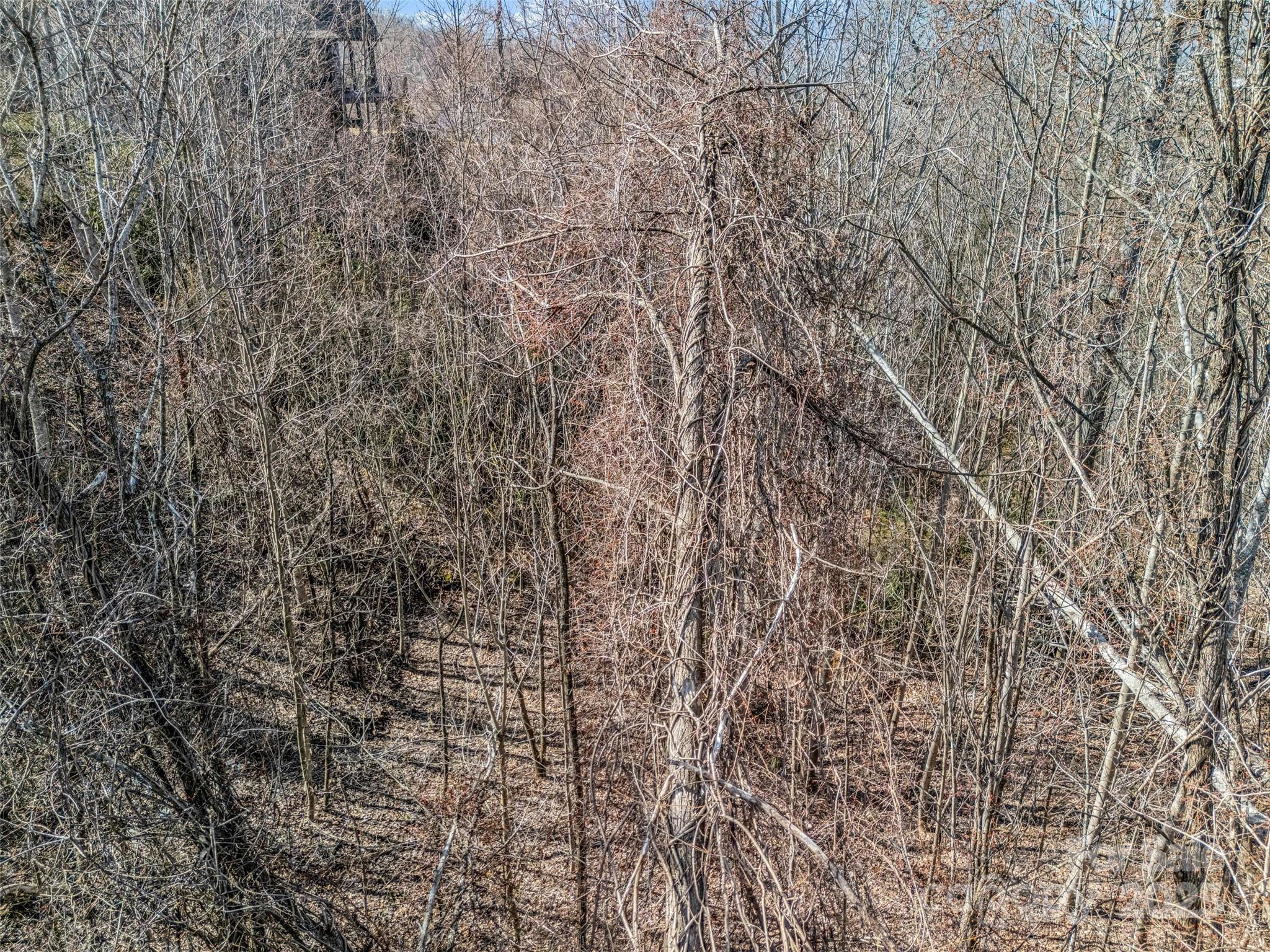 Carriage Park - Land