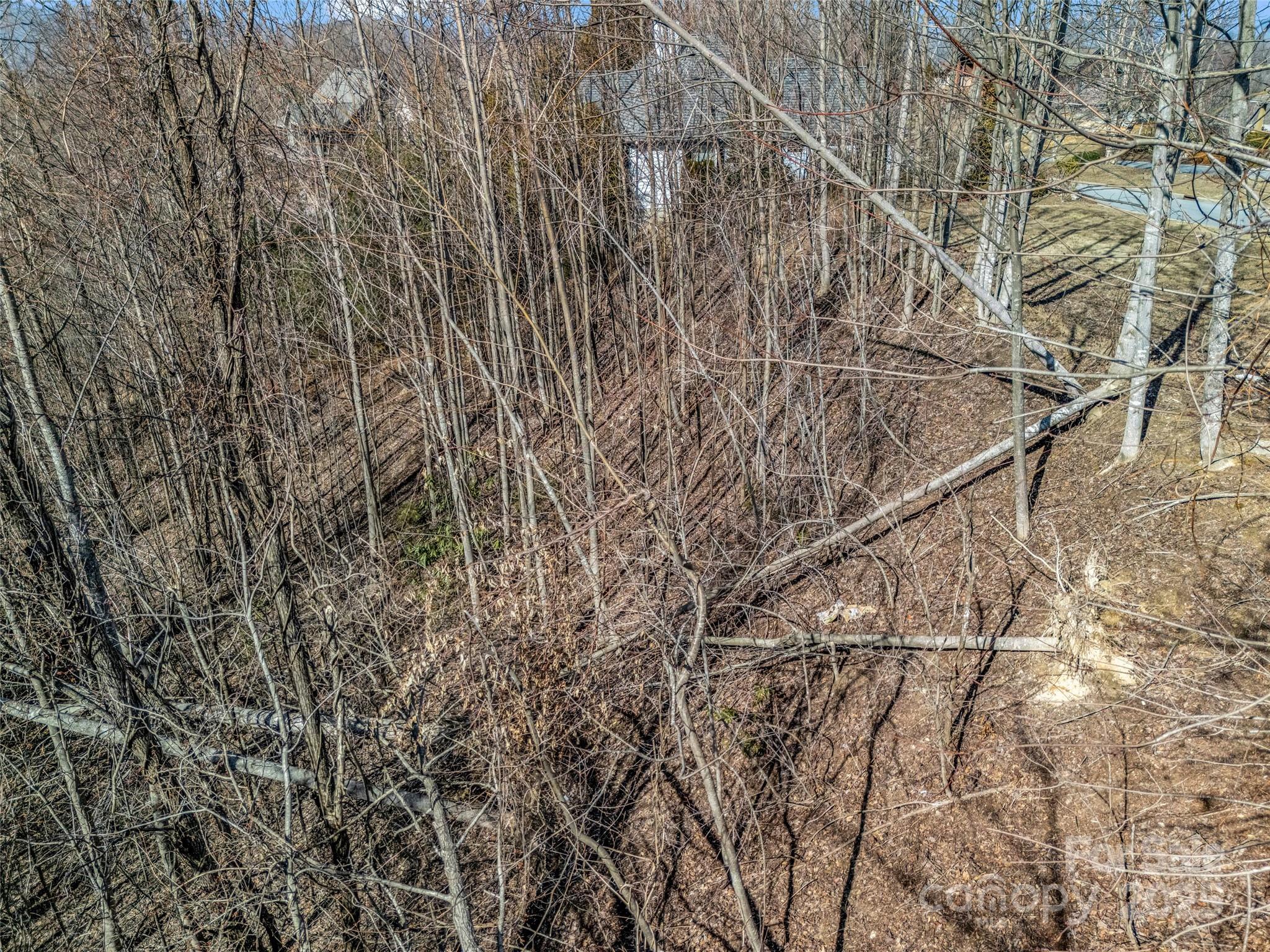 Carriage Park - Land