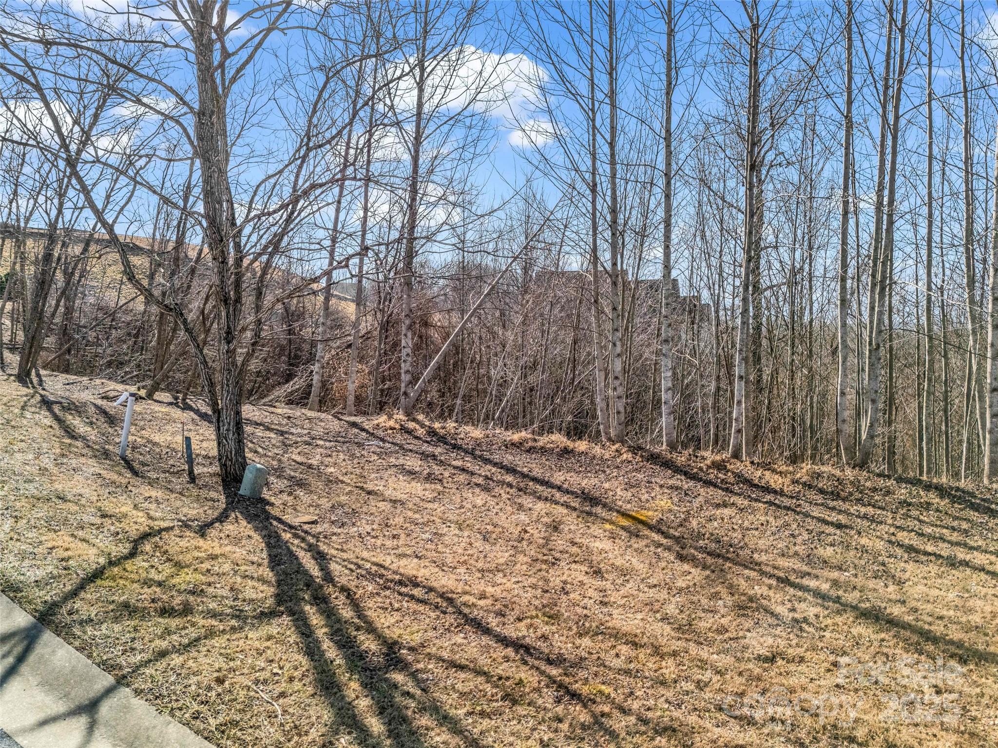 Carriage Park - Land