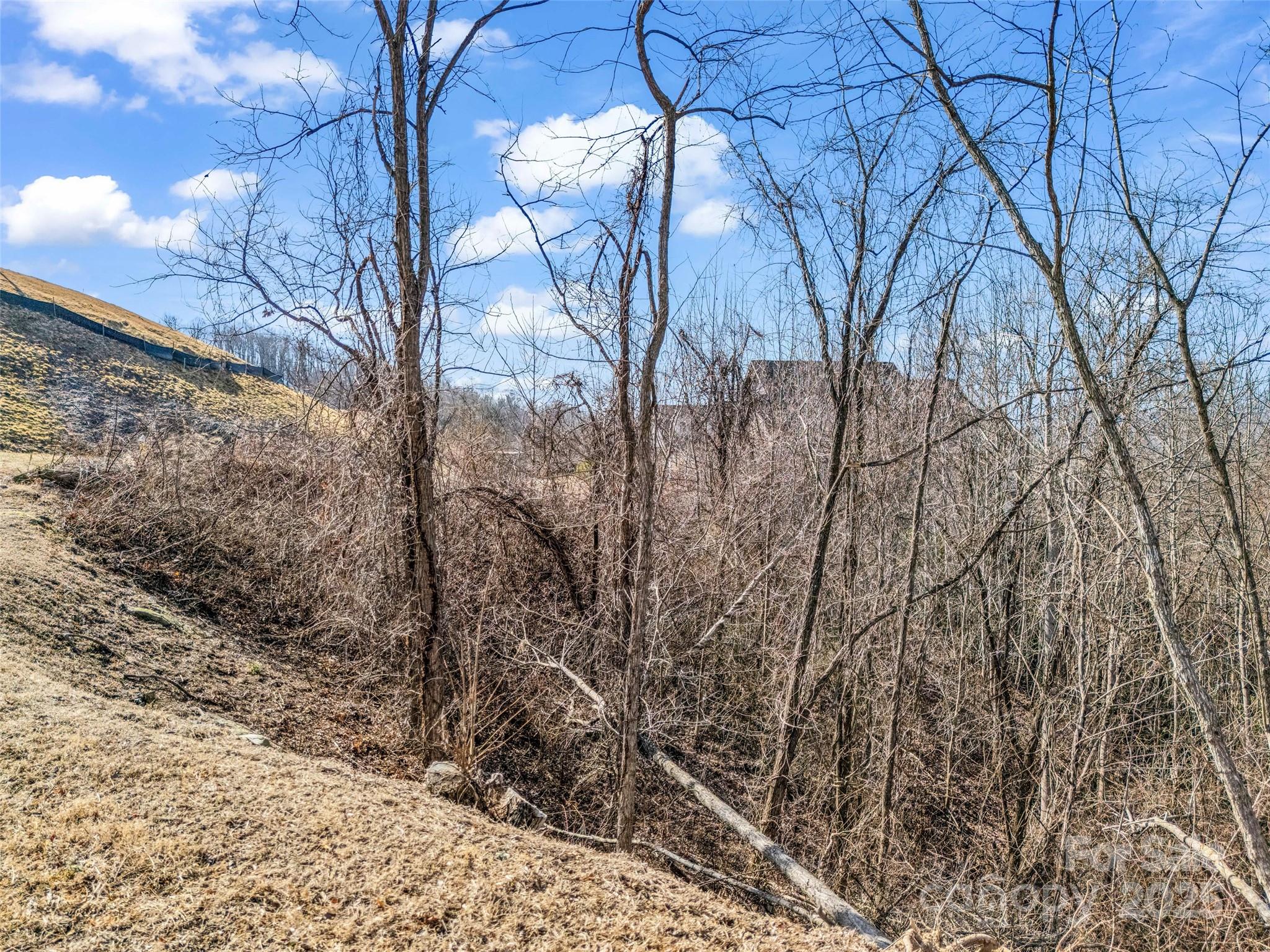 Carriage Park - Land