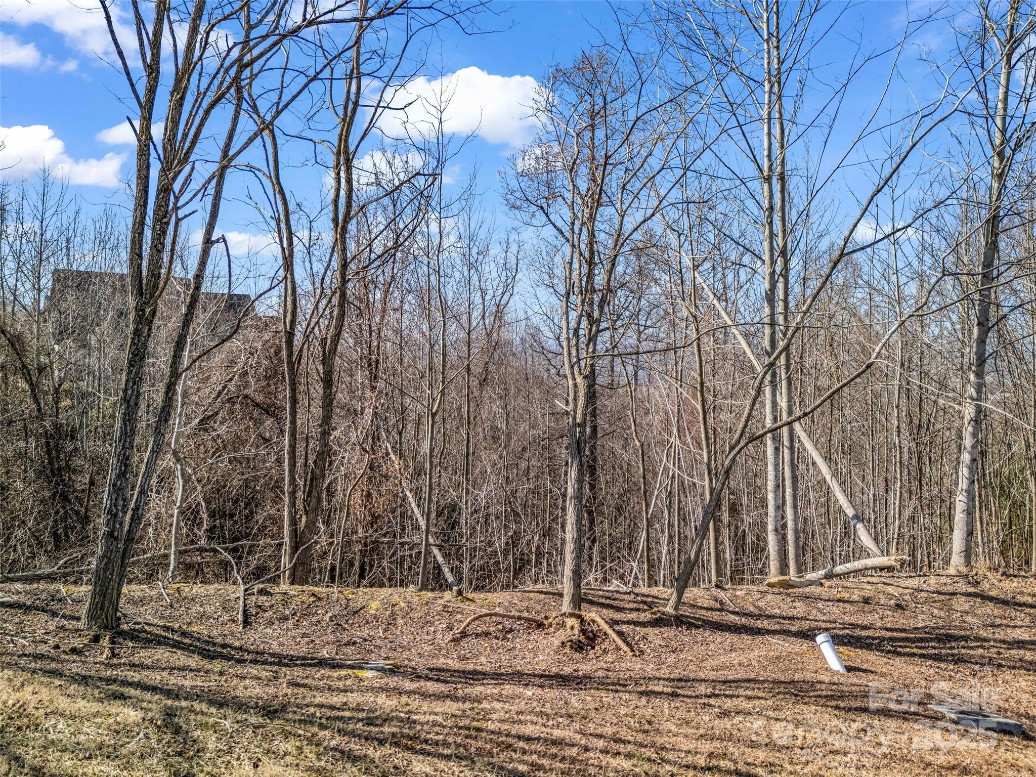 Carriage Park - Land