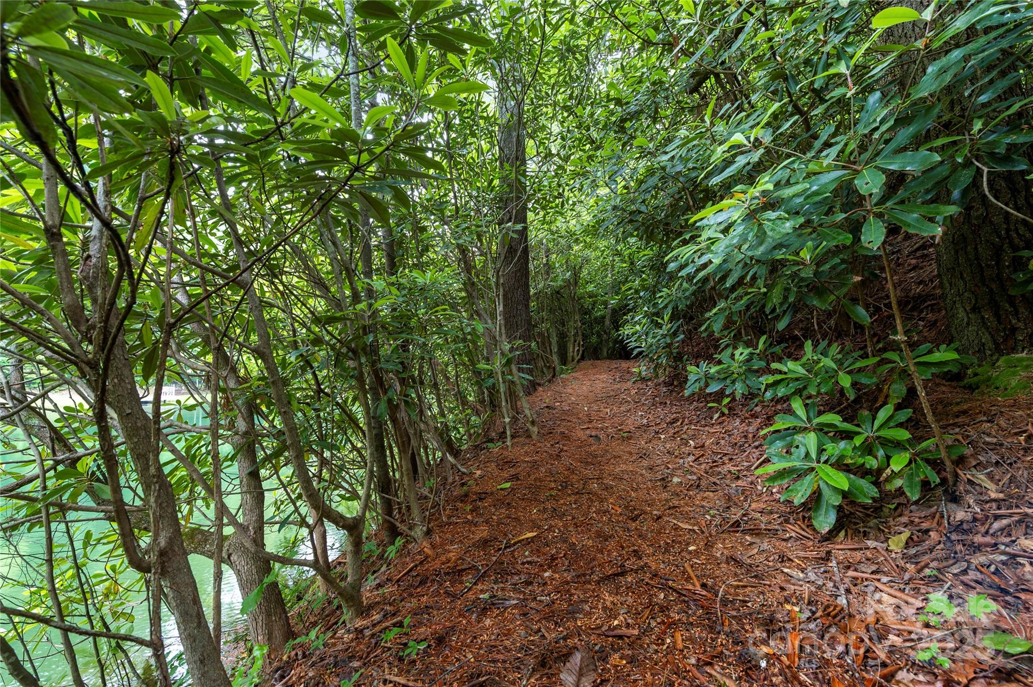 Pinnacle Falls - Residential