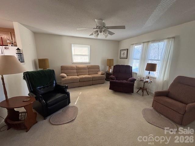 431 Island Cove Road