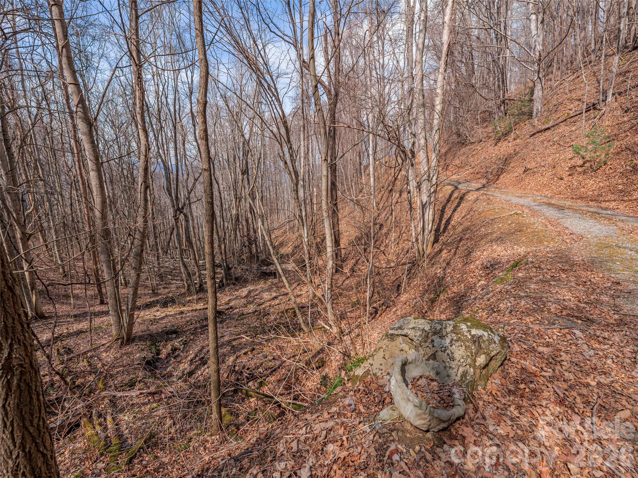 399 Goodson Spring Road