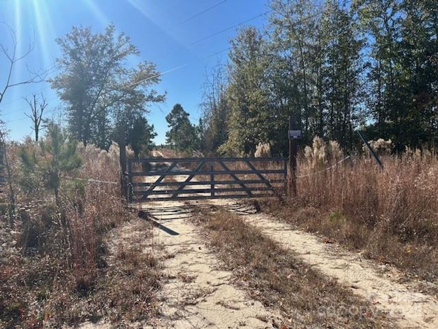 Escape to the undiscovered piece of hunter's paradise. Timber was cut several years ago and 4-6 feet pines are bountiful on this large tract of land. The creek offers great camping/cabin (if built) natural living quarters. Part of the land is in a flood plain. Invest in your future as land is increasing in price every day! Not a bad drive to the Charlotte/Columbia area. Come see this beauty located here!
