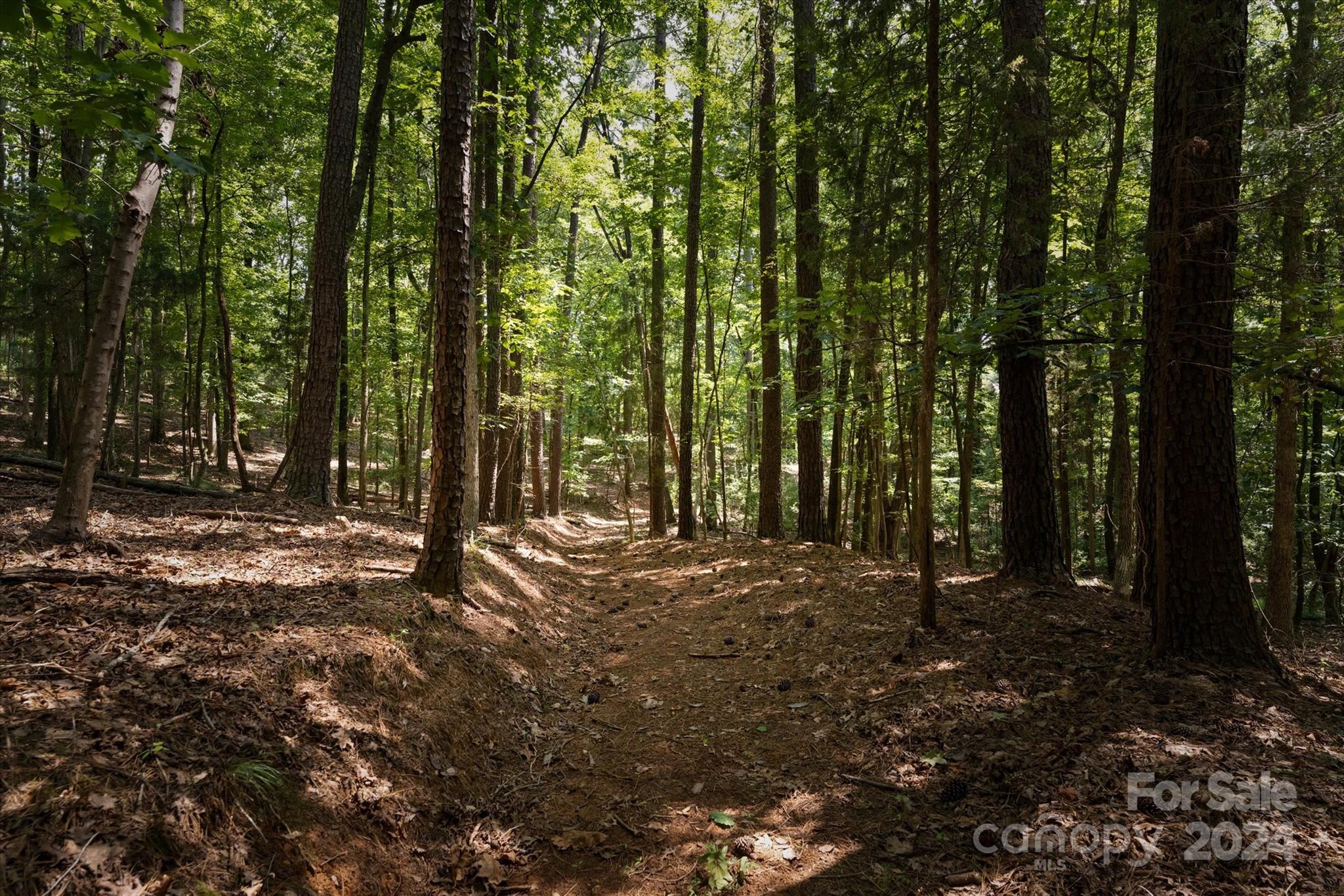 The Sanctuary - Residential