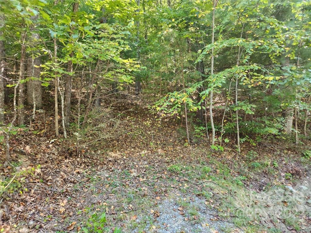 23 Overlook Park Drive 48