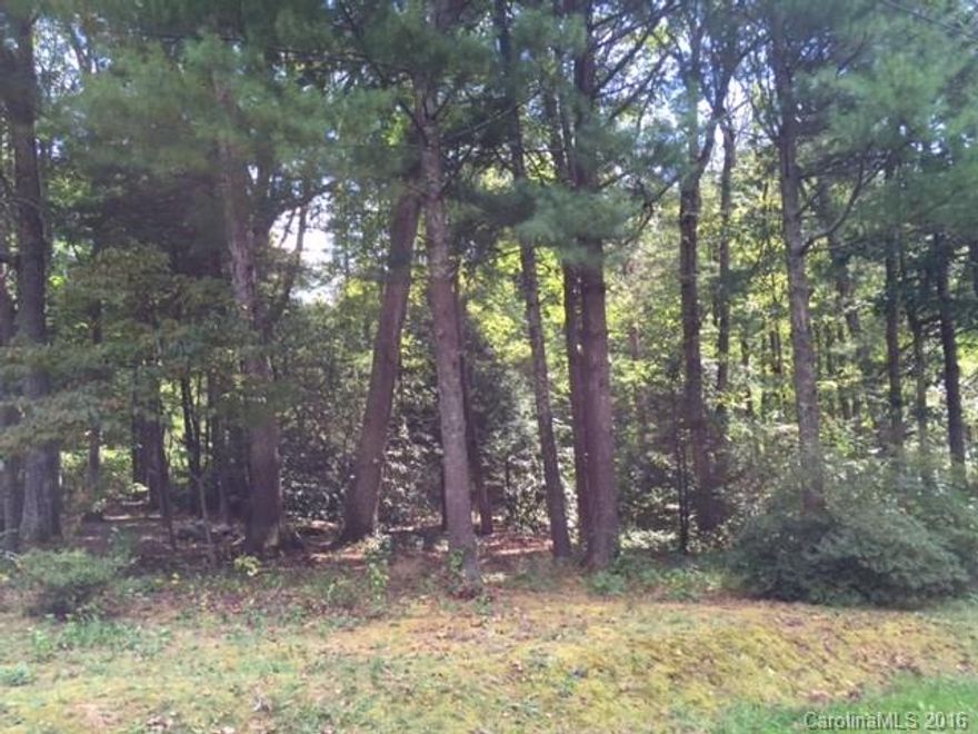 Great, mostly level lot in Mountain Home; super convenient to South Asheville, Fletcher, or Hendersonville! Manufactured double or triple-wides ARE allowed under R1 zoning. Land has perc'd recently, permit on file with the city. City water is available on Oakwood (behind lot) and seller willing to grant easement for access. Buyer can then run city water line to property (at buyer's expense). Come see it today!