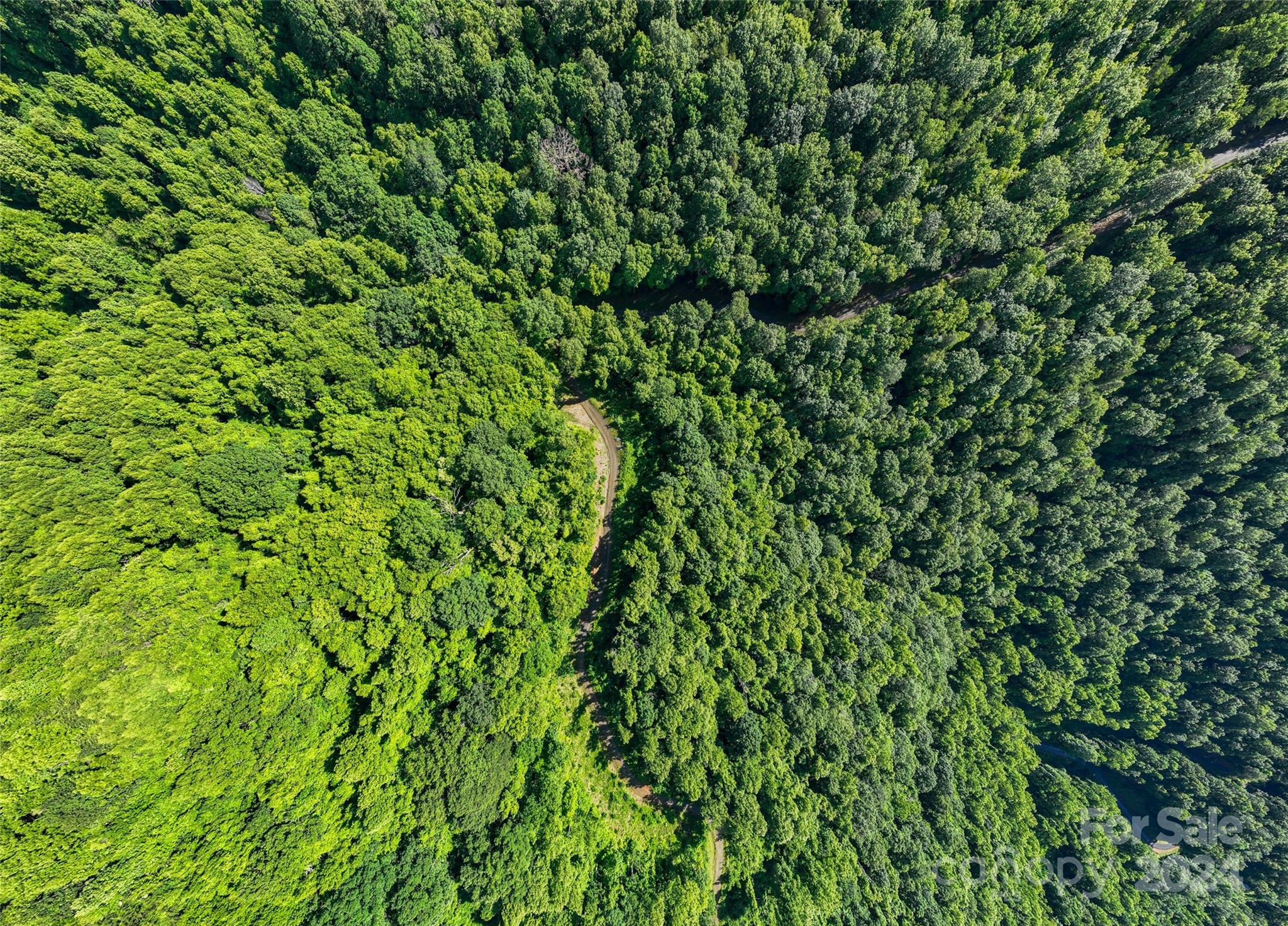 The Summit Of Asheville - Land