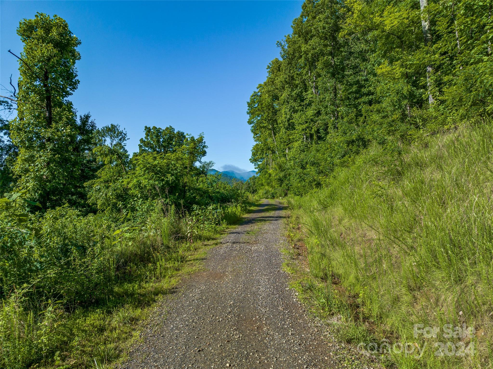 The Summit Of Asheville - Land