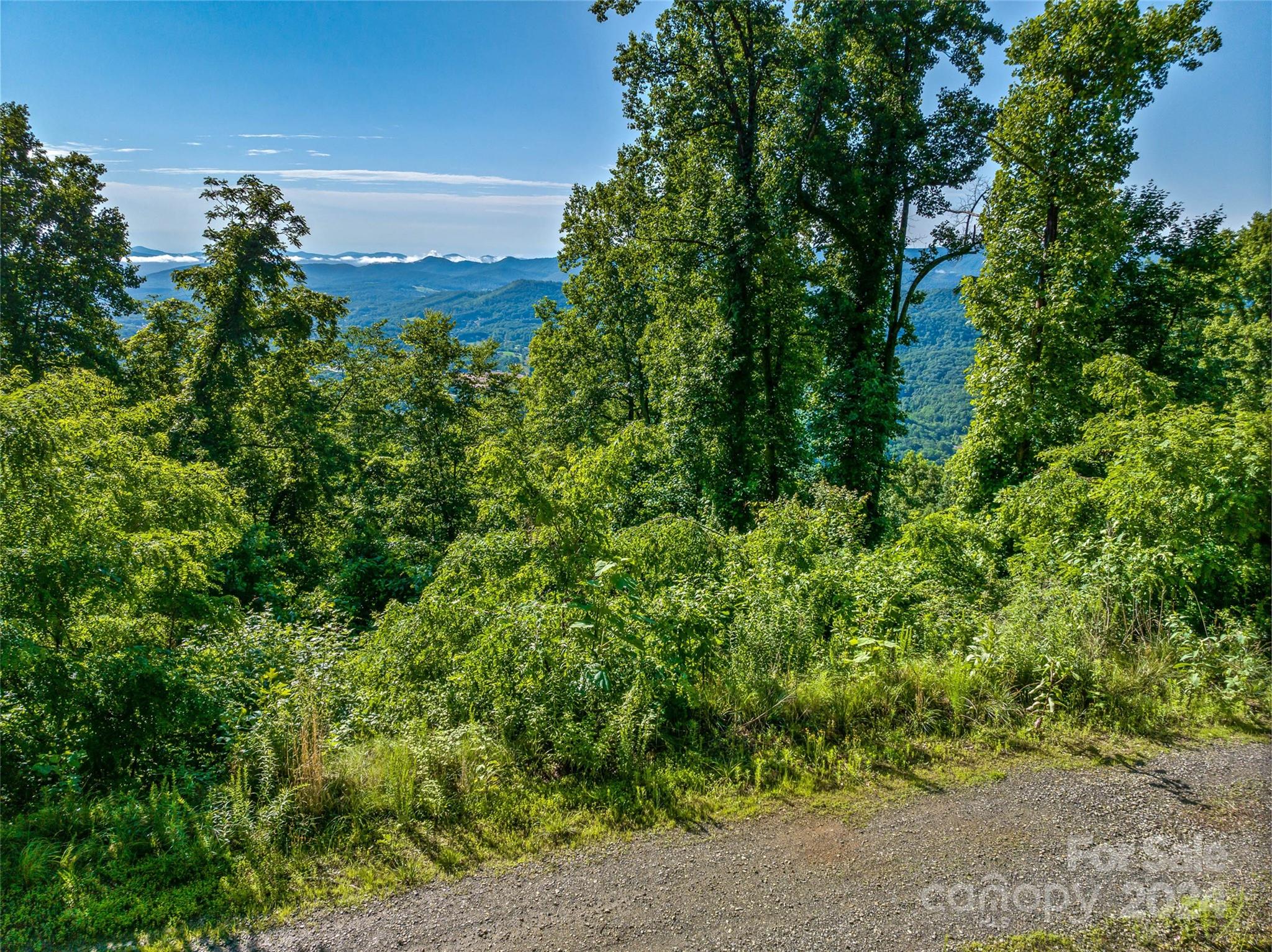 The Summit Of Asheville - Land