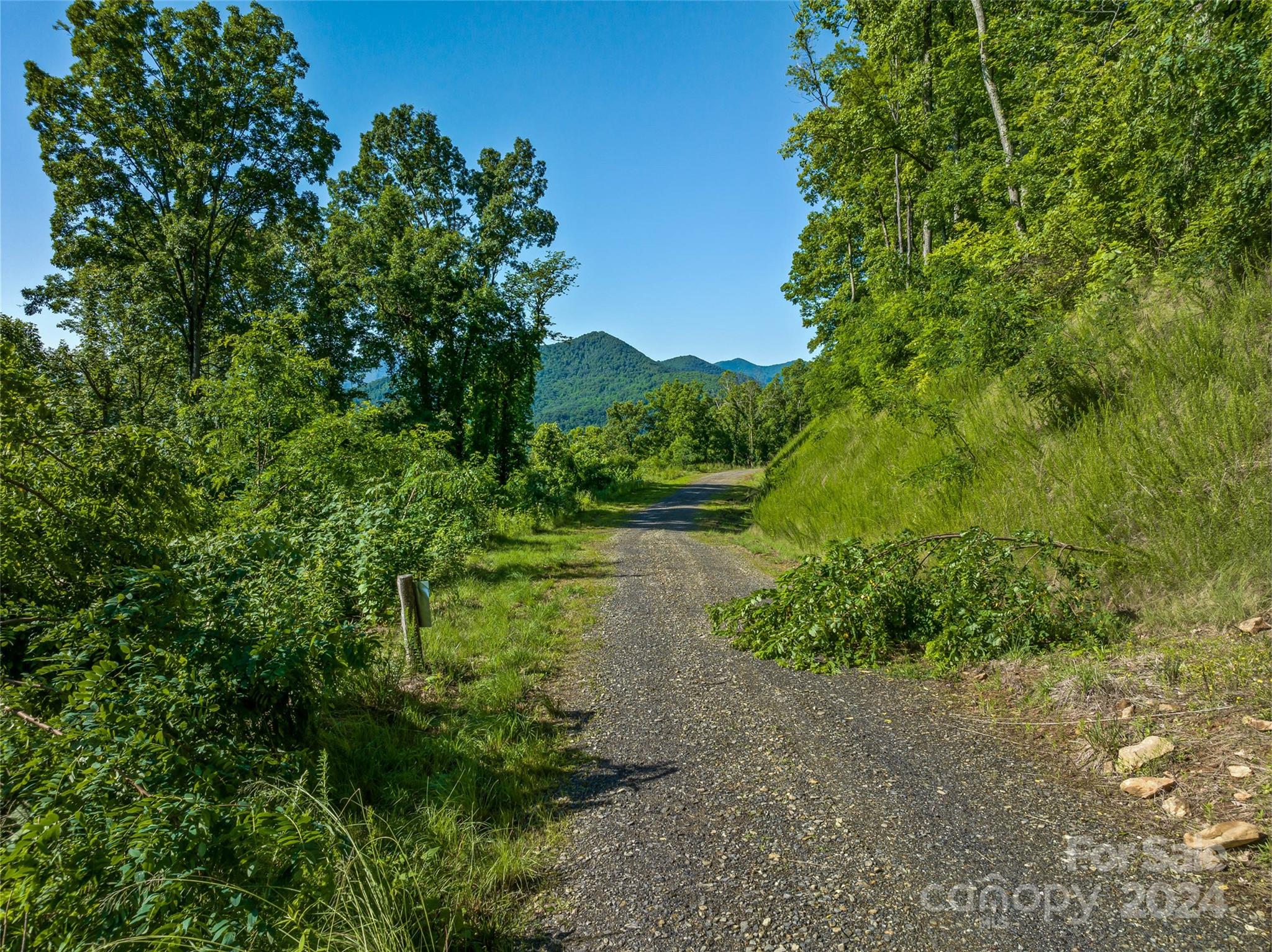 The Summit Of Asheville - Land