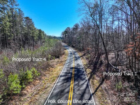 1, 2 & 3 Polk County Line Road Mill Spring NC 28756