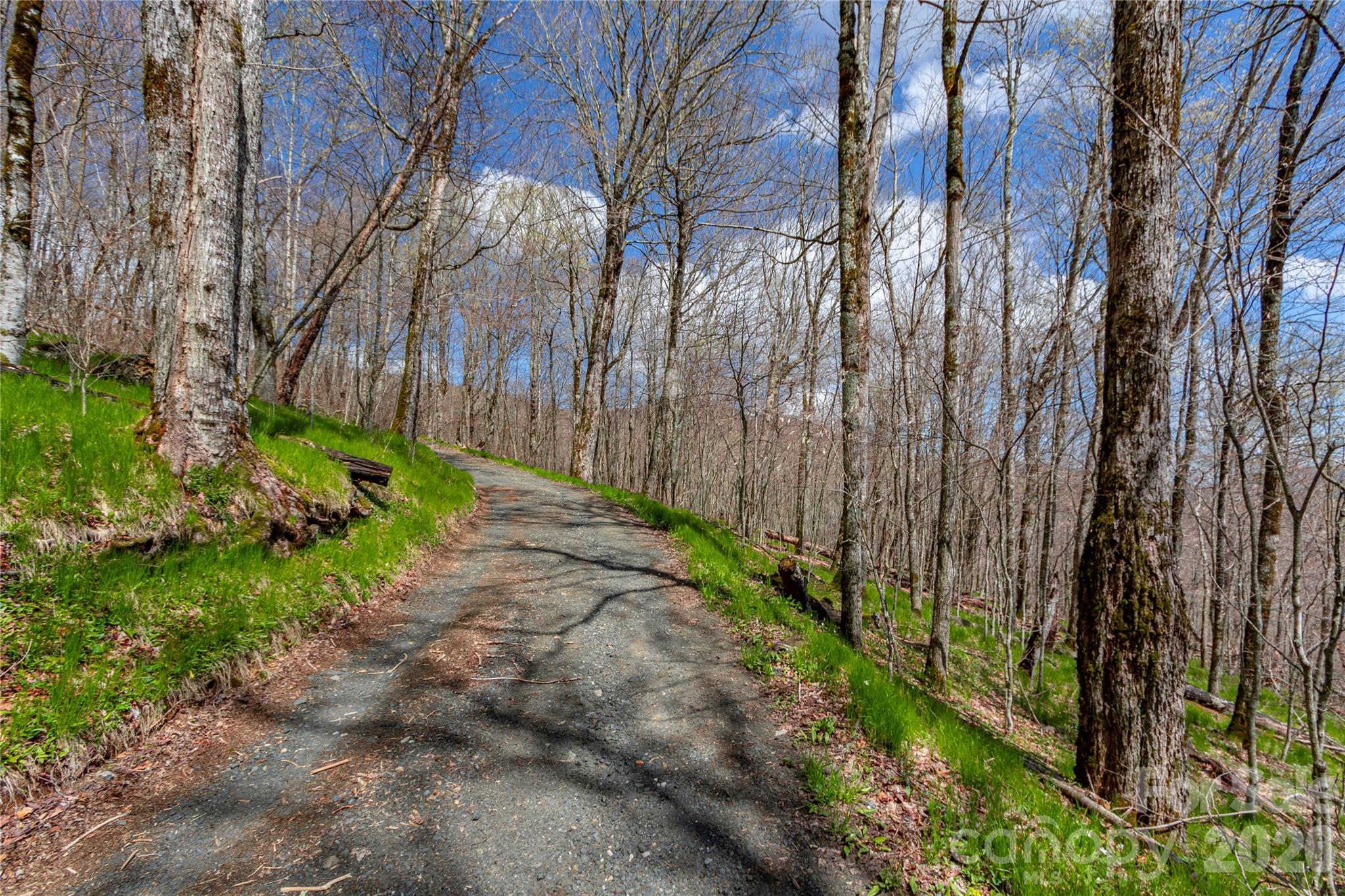 lots 4,5 & 7 Mule Trail Drive