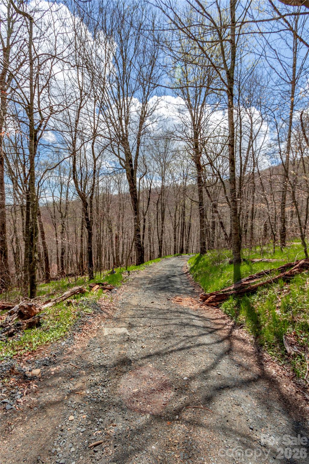 lots 4,5 & 7 Mule Trail Drive
