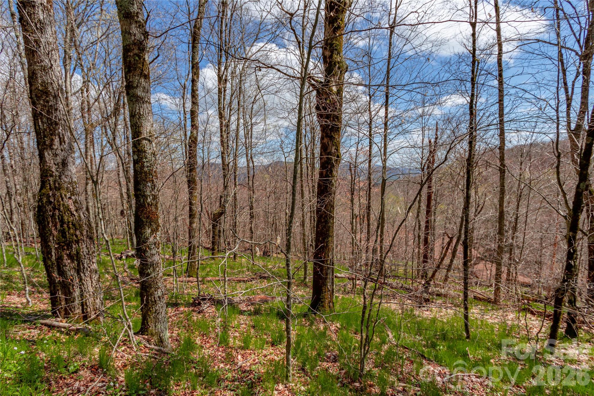 lots 4,5 & 7 Mule Trail Drive