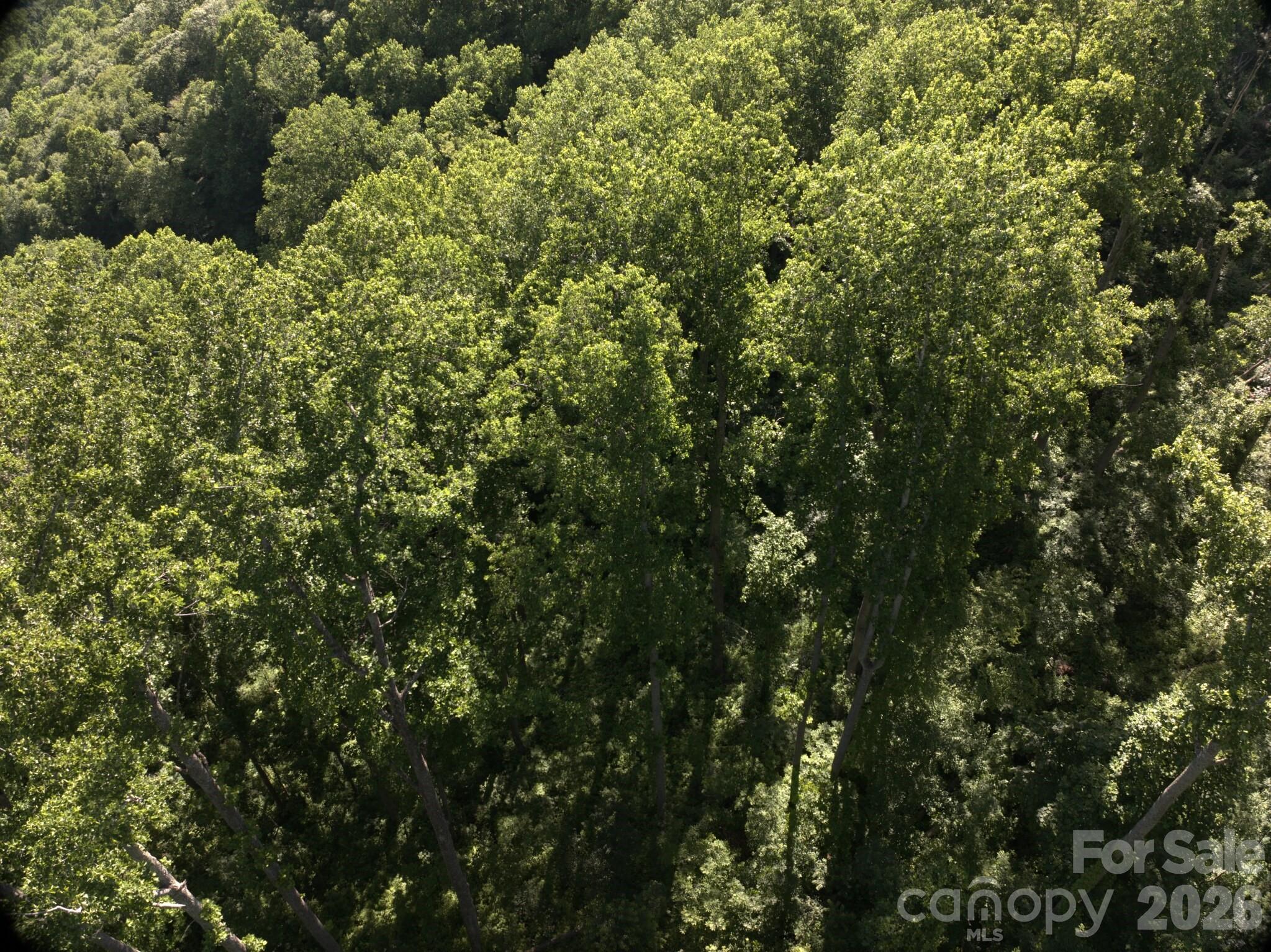 00 Ox Creek Crest Lane