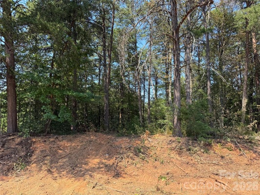 KATHERINE DR, DENVER, NC 28037 - Image d0bd9a76b00d7fd069ef583aba58b9dd/782970231