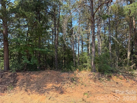 Photo of 0 Katherine Drive #182, Denver, NC 28037 (MLS # 4420809)