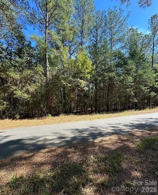 LANKSFORD RD, FORT LAWN, SC 29714 - Image d0c6ec41cfb462fb9e2a9875a3e5db28/149542016