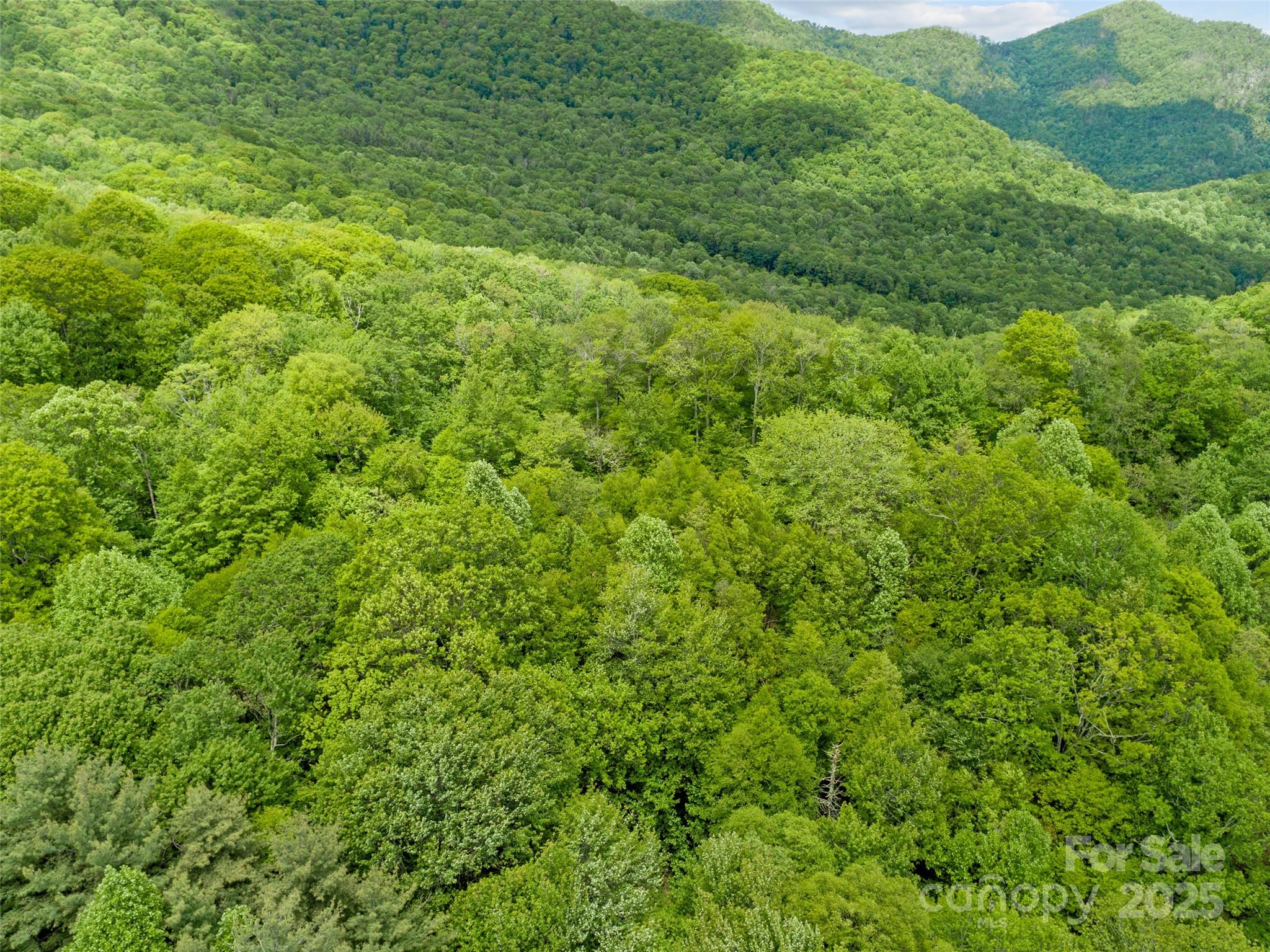 The Ridge Tops of Hawks Nest - Land